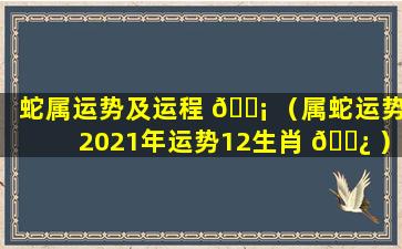 蛇属运势及运程 🐡 （属蛇运势2021年运势12生肖 🌿 ）